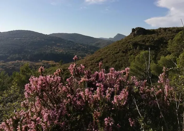 Maison De Village De Caractere *